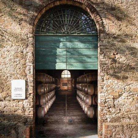 Borgo Syrah-3